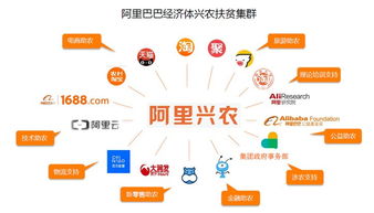 阿里兴农生态圈再添新地标 盒马扩建引领农产品直供直销新链路